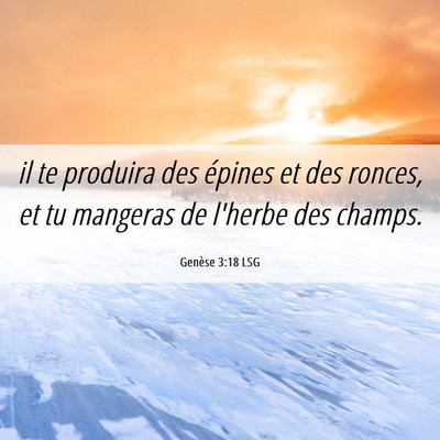 Picture 06 - Genèse 3:18 LSG - il te produira des épines et des ronces, et tu - Bible Verse Picture