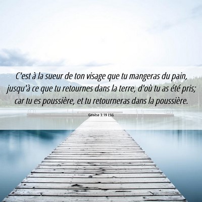 Picture 06 - Genèse 3:19 LSG - C'est à la sueur de ton visage que tu mangeras - Bible Verse Picture