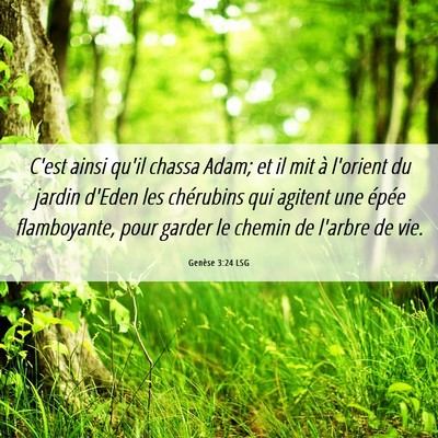 Picture 06 - Genèse 3:24 LSG - C'est ainsi qu'il chassa Adam; et il mit à - Bible Verse Picture