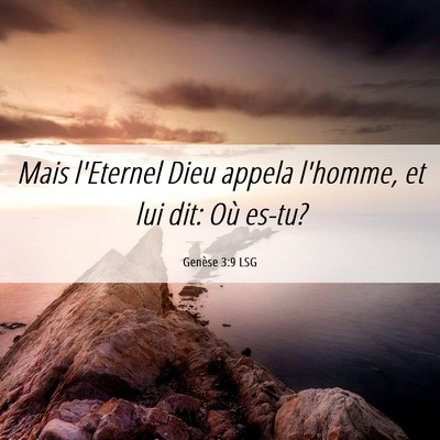Picture 06 - Genèse 3:9 LSG - Mais l'Eternel Dieu appela l'homme, et lui dit: - Bible Verse Picture