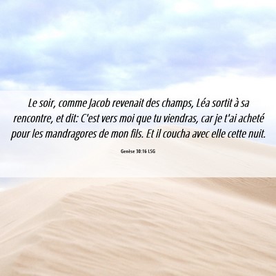 Picture 06 - Genèse 30:16 LSG - Le soir, comme Jacob revenait des champs, Léa - Bible Verse Picture
