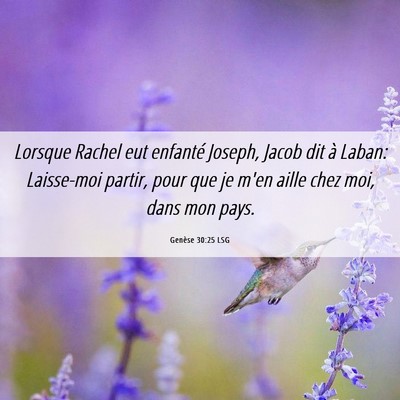 Picture 06 - Genèse 30:25 LSG - Lorsque Rachel eut enfanté Joseph, Jacob dit à - Bible Verse Picture
