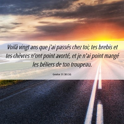 Picture 06 - Genèse 31:38 LSG - Voilà vingt ans que j'ai passés chez toi; tes - Bible Verse Picture