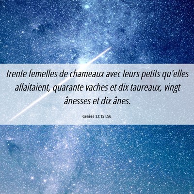 Picture 06 - Genèse 32:15 LSG - trente femelles de chameaux avec leurs petits - Bible Verse Picture