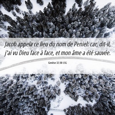 Picture 06 - Genèse 32:30 LSG - Jacob appela ce lieu du nom de Peniel: car, - Bible Verse Picture