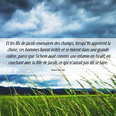 Picture 06 - Genèse 34:7 LSG - Et les fils de Jacob revenaient des champs, - Bible Verse Picture