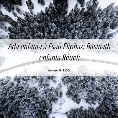Picture 06 - Genèse 36:4 LSG - Ada enfanta à Esaü Eliphaz; Basmath enfanta - Bible Verse Picture
