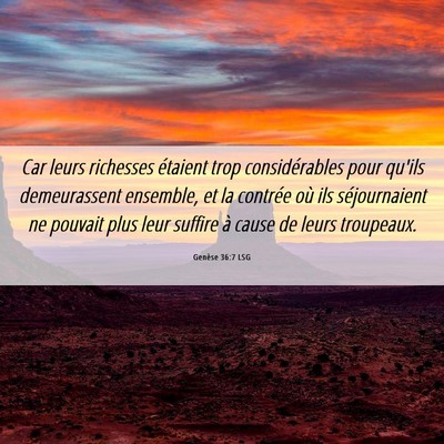 Picture 06 - Genèse 36:7 LSG - Car leurs richesses étaient trop considérables - Bible Verse Picture