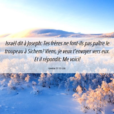 Picture 06 - Genèse 37:13 LSG - Israël dit à Joseph: Tes frères ne font-ils - Bible Verse Picture