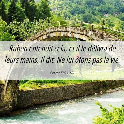 Picture 06 - Genèse 37:21 LSG - Ruben entendit cela, et il le délivra de leurs - Bible Verse Picture