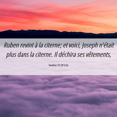 Picture 06 - Genèse 37:29 LSG - Ruben revint à la citerne; et voici, Joseph - Bible Verse Picture