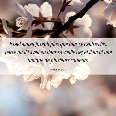 Picture 06 - Genèse 37:3 LSG - Israël aimait Joseph plus que tous ses autres - Bible Verse Picture