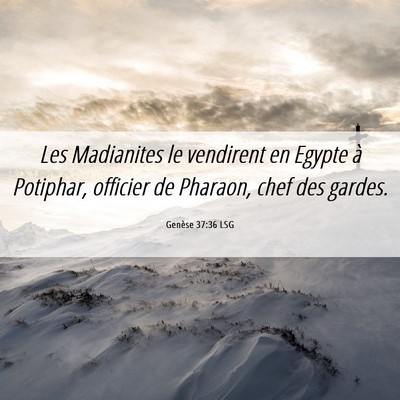 Picture 06 - Genèse 37:36 LSG - Les Madianites le vendirent en Egypte à - Bible Verse Picture