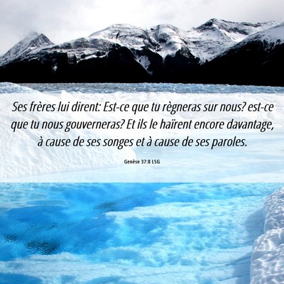 Picture 06 - Genèse 37:8 LSG - Ses frères lui dirent: Est-ce que tu règneras - Bible Verse Picture
