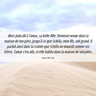 Picture 06 - Genèse 38:11 LSG - Alors Juda dit à Tamar, sa belle-fille: Demeure - Bible Verse Picture