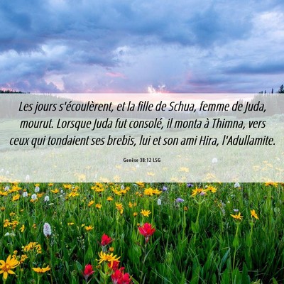 Picture 06 - Genèse 38:12 LSG - Les jours s'écoulèrent, et la fille de Schua, - Bible Verse Picture