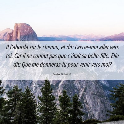 Picture 06 - Genèse 38:16 LSG - Il l'aborda sur le chemin, et dit: Laisse-moi - Bible Verse Picture