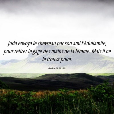 Picture 06 - Genèse 38:20 LSG - Juda envoya le chevreau par son ami l'Adullamite, - Bible Verse Picture