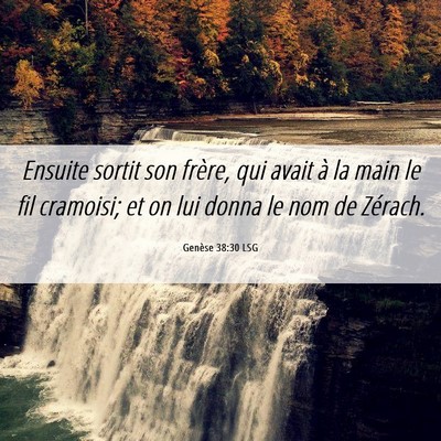 Picture 06 - Genèse 38:30 LSG - Ensuite sortit son frère, qui avait à la main - Bible Verse Picture