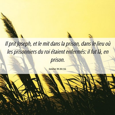 Picture 06 - Genèse 39:20 LSG - Il prit Joseph, et le mit dans la prison, dans le - Bible Verse Picture