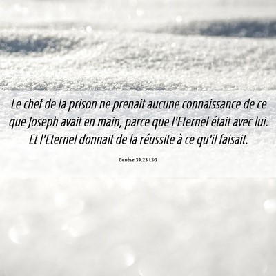 Picture 06 - Genèse 39:23 LSG - Le chef de la prison ne prenait aucune - Bible Verse Picture
