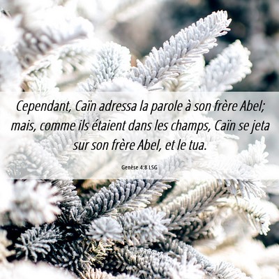 Picture 06 - Genèse 4:8 LSG - Cependant, Caïn adressa la parole à son frère - Bible Verse Picture