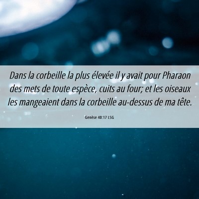 Picture 06 - Genèse 40:17 LSG - Dans la corbeille la plus élevée il y avait - Bible Verse Picture