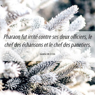 Picture 06 - Genèse 40:2 LSG - Pharaon fut irrité contre ses deux officiers, le - Bible Verse Picture