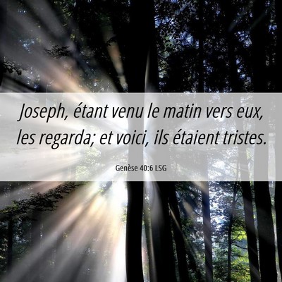 Picture 06 - Genèse 40:6 LSG - Joseph, étant venu le matin vers eux, les - Bible Verse Picture