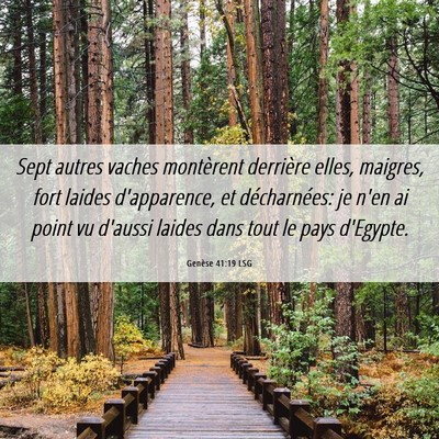 Picture 06 - Genèse 41:19 LSG - Sept autres vaches montèrent derrière elles, - Bible Verse Picture