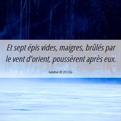 Picture 06 - Genèse 41:23 LSG - Et sept épis vides, maigres, brûlés par le - Bible Verse Picture