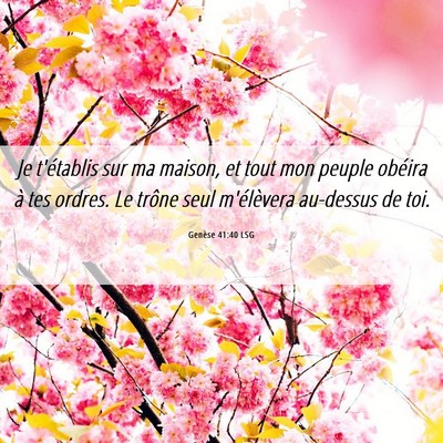 Picture 06 - Genèse 41:40 LSG - Je t'établis sur ma maison, et tout mon peuple - Bible Verse Picture