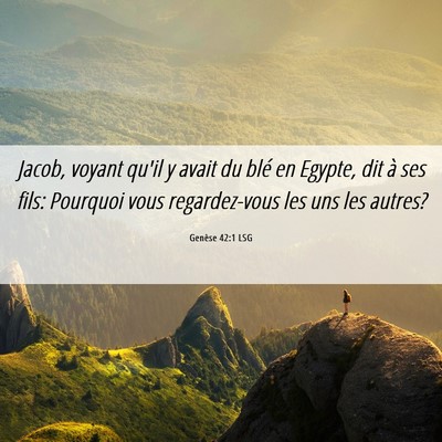 Picture 06 - Genèse 42:1 LSG - Jacob, voyant qu'il y avait du blé en Egypte, - Bible Verse Picture