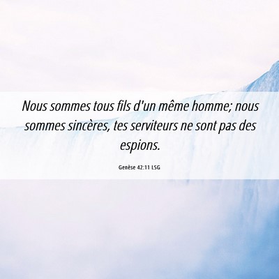 Picture 06 - Genèse 42:11 LSG - Nous sommes tous fils d'un même homme; nous - Bible Verse Picture