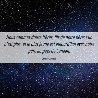 Picture 06 - Genèse 42:32 LSG - Nous sommes douze frères, fils de notre père; - Bible Verse Picture