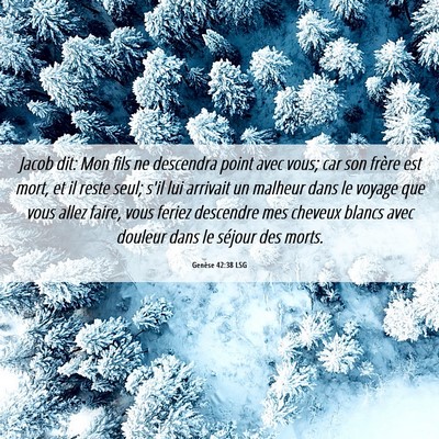 Picture 06 - Genèse 42:38 LSG - Jacob dit: Mon fils ne descendra point avec vous; - Bible Verse Picture