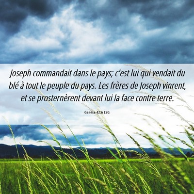 Picture 06 - Genèse 42:6 LSG - Joseph commandait dans le pays; c'est lui qui - Bible Verse Picture