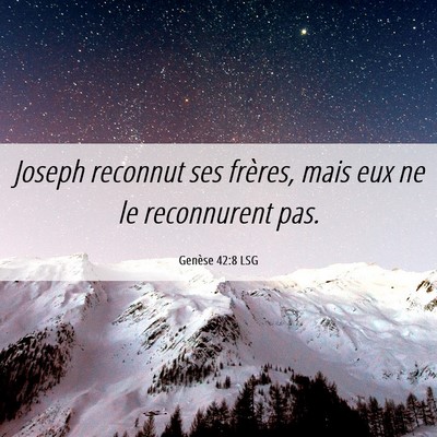 Picture 06 - Genèse 42:8 LSG - Joseph reconnut ses frères, mais eux ne le - Bible Verse Picture