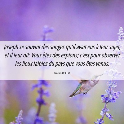 Picture 06 - Genèse 42:9 LSG - Joseph se souvint des songes qu'il avait eus à - Bible Verse Picture