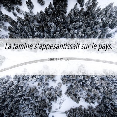 Picture 06 - Genèse 43:1 LSG - La famine s'appesantissait sur le - Bible Verse Picture