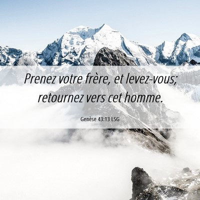 Picture 06 - Genèse 43:13 LSG - Prenez votre frère, et levez-vous; retournez - Bible Verse Picture