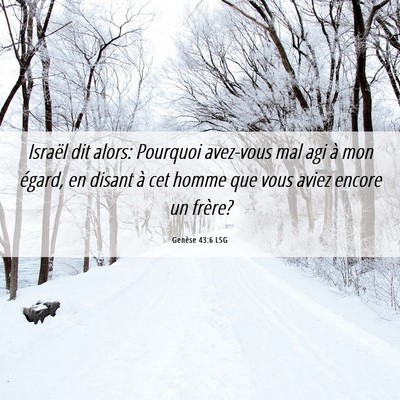 Picture 06 - Genèse 43:6 LSG - Israël dit alors: Pourquoi avez-vous mal agi à - Bible Verse Picture