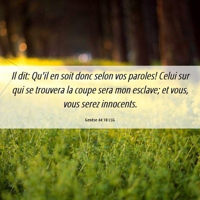 Picture 06 - Genèse 44:10 LSG - Il dit: Qu'il en soit donc selon vos paroles! - Bible Verse Picture