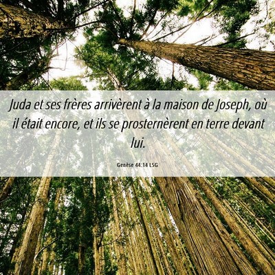 Picture 06 - Genèse 44:14 LSG - Juda et ses frères arrivèrent à la maison de - Bible Verse Picture