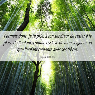 Picture 06 - Genèse 44:33 LSG - Permets donc, je te prie, à ton serviteur de - Bible Verse Picture