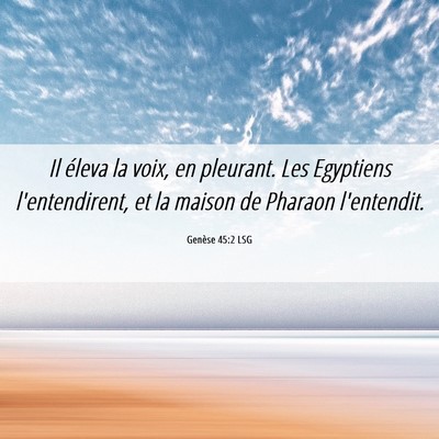 Picture 06 - Genèse 45:2 LSG - Il éleva la voix, en pleurant. Les Egyptiens - Bible Verse Picture