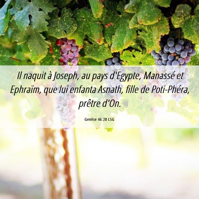 Picture 06 - Genèse 46:20 LSG - Il naquit à Joseph, au pays d'Egypte, Manassé - Bible Verse Picture