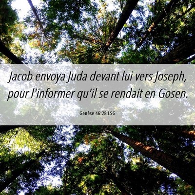 Picture 06 - Genèse 46:28 LSG - Jacob envoya Juda devant lui vers Joseph, pour - Bible Verse Picture