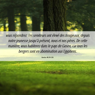 Picture 06 - Genèse 46:34 LSG - vous répondrez: Tes serviteurs ont élevé des - Bible Verse Picture