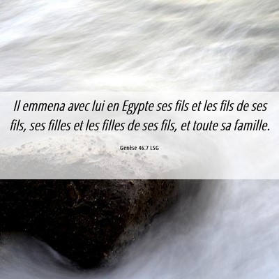 Picture 06 - Genèse 46:7 LSG - Il emmena avec lui en Egypte ses fils et les fils - Bible Verse Picture